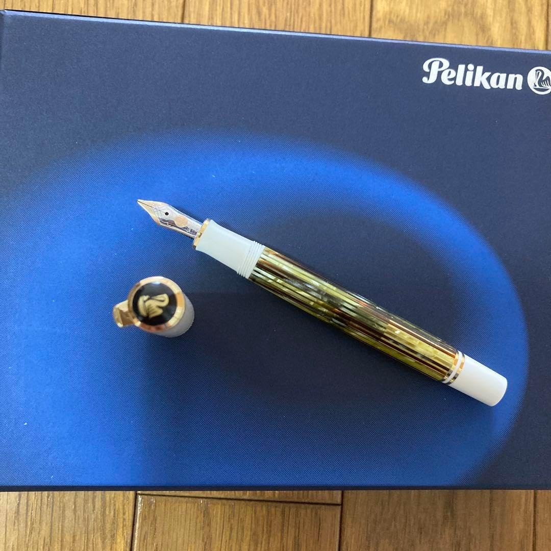 PLATINUM 万年筆 3776 ペン先14KWG F 585 CENTURY（電子機器） 名入れ